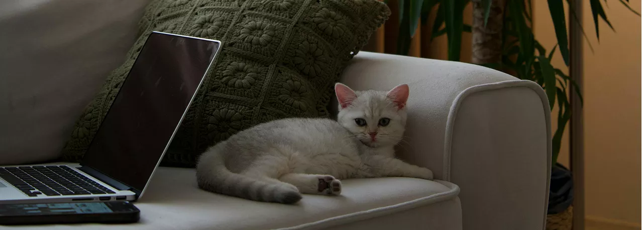 Quels sont les avantages du télétravail pour les salariés et employeurs ? 