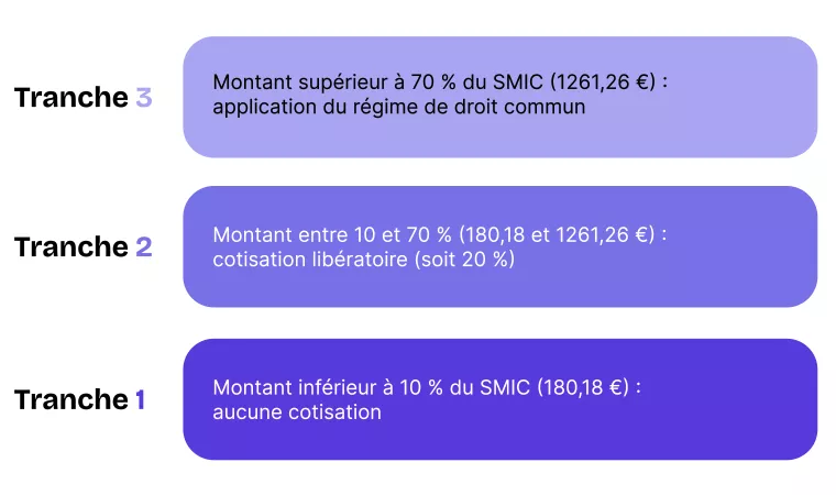 tranches smic bleu