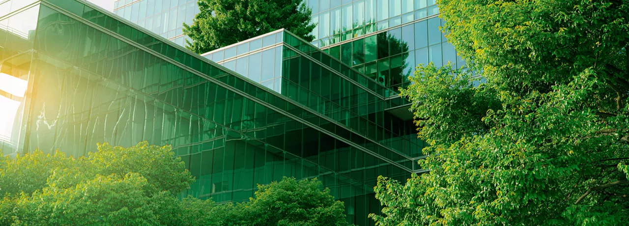 Comment devenir une entreprise éco-responsable ? 