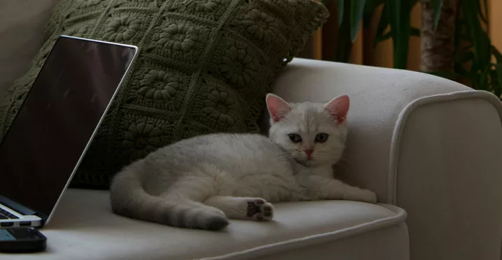 Quels sont les avantages du télétravail pour les salariés et employeurs ?