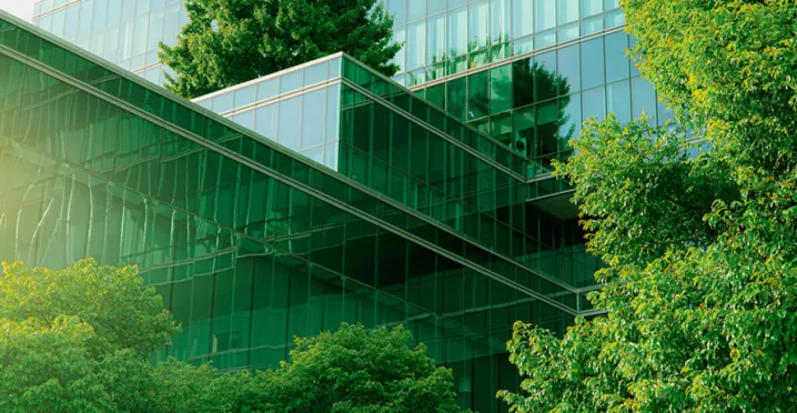 Comment devenir une entreprise éco-responsable ?