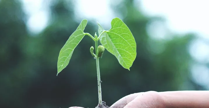 Start-up, TPE, PME : comment lancer sa démarche RSE ?
