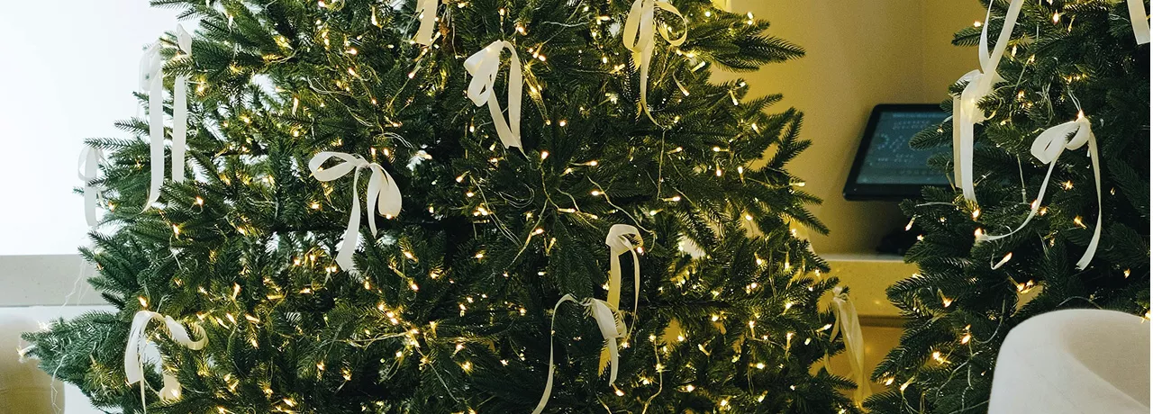 arbre noël
