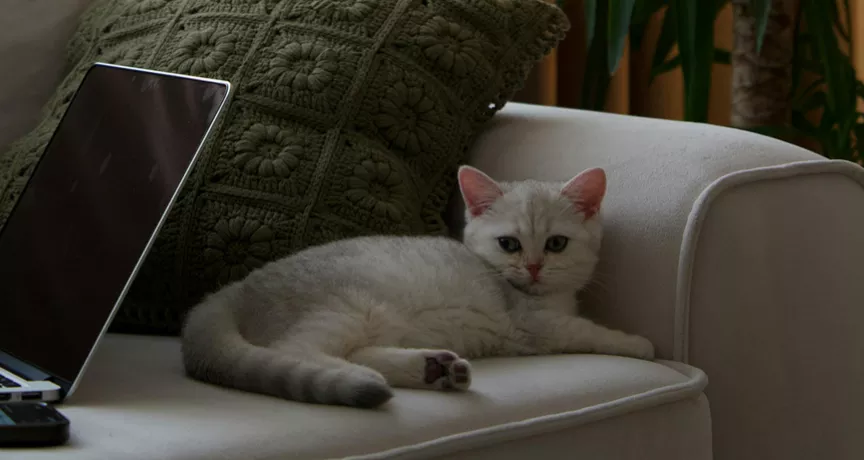 Quels sont les avantages du télétravail pour les salariés et employeurs ?