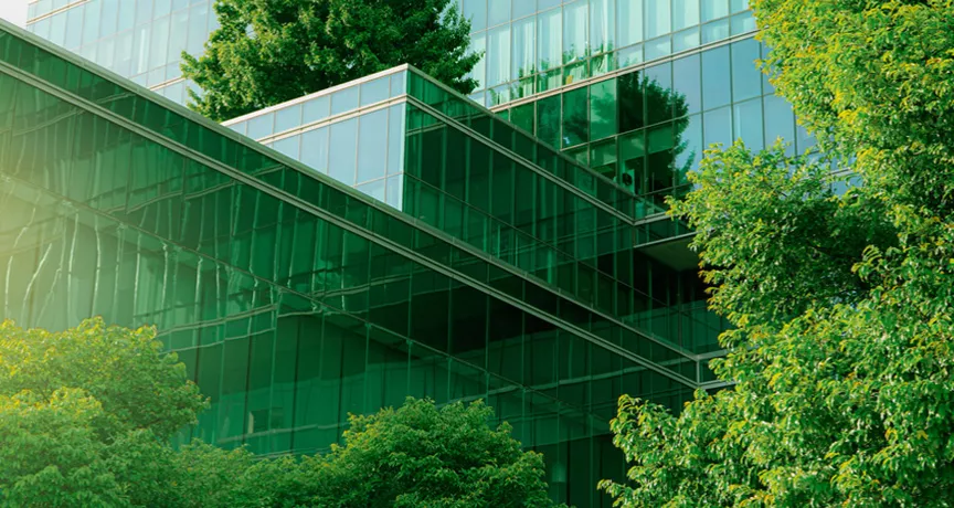 Comment devenir une entreprise éco-responsable ?