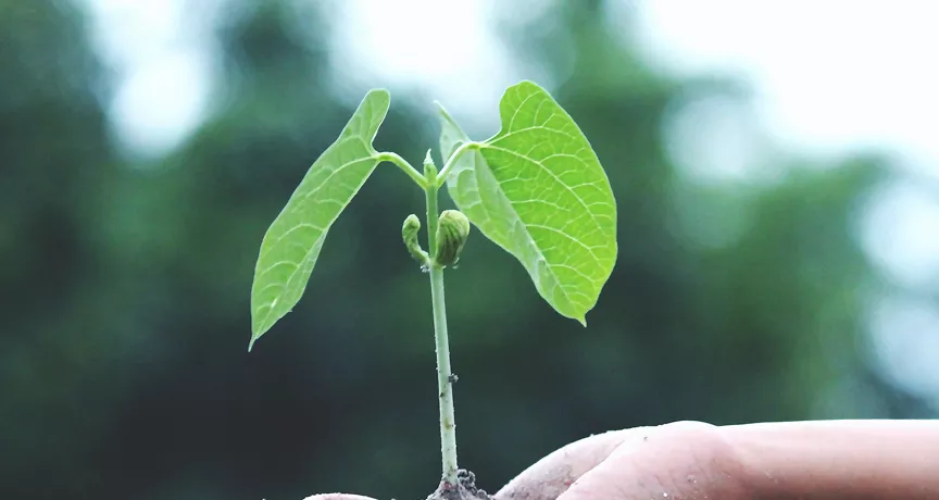 Start-up, TPE, PME : comment lancer sa démarche RSE ?