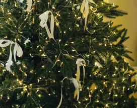 arbre noël
