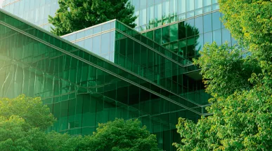 Comment devenir une entreprise éco-responsable ?